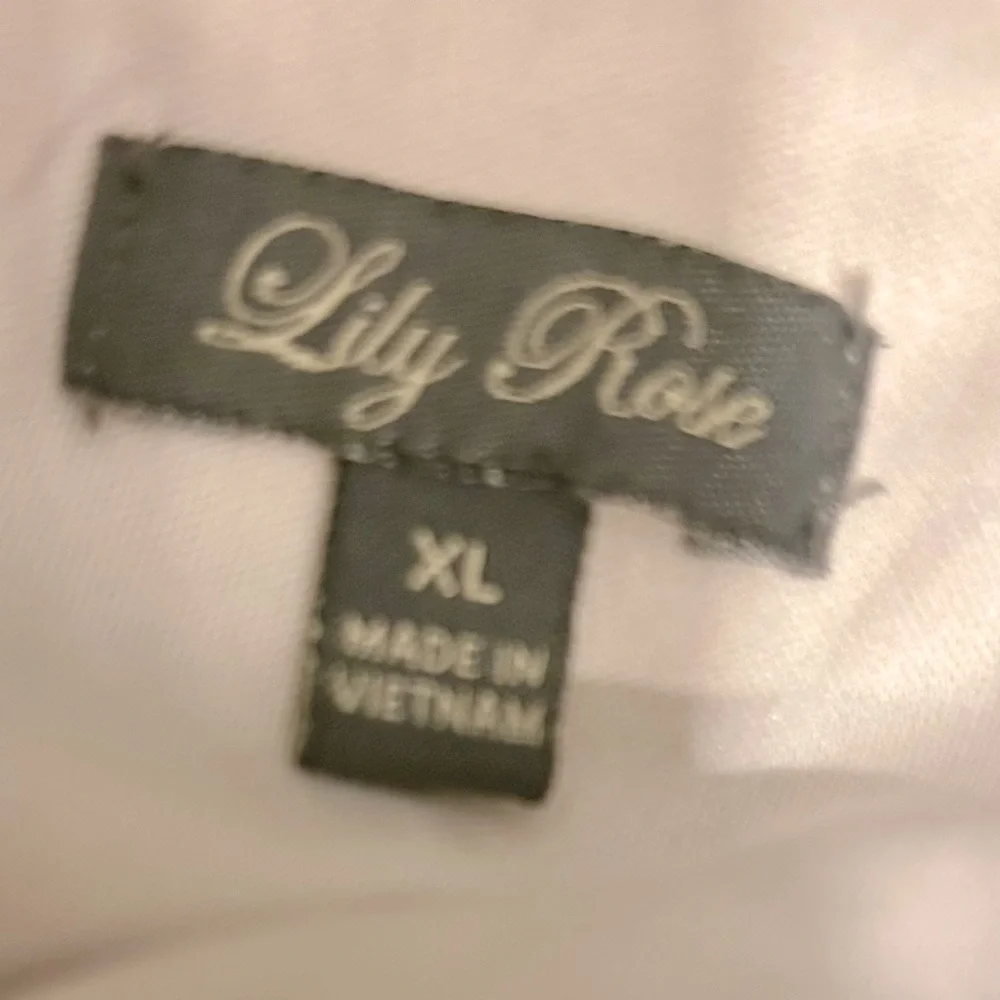 Lily Rose chiffon maxi dress in size XL. Great pre-owned condition. - Picture 4 of 4